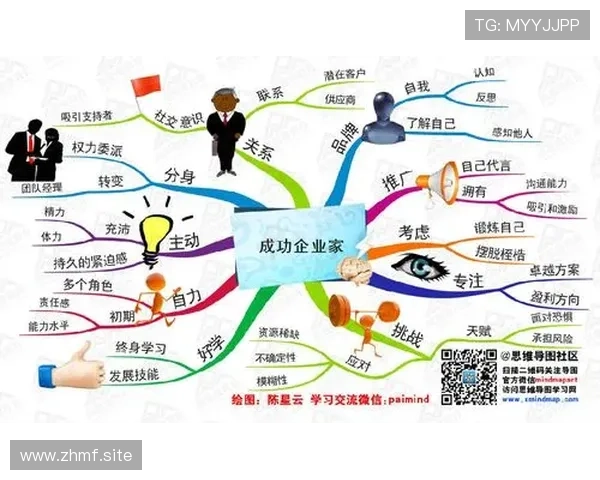 中国成功企业家的创新之路与战略眼光解析